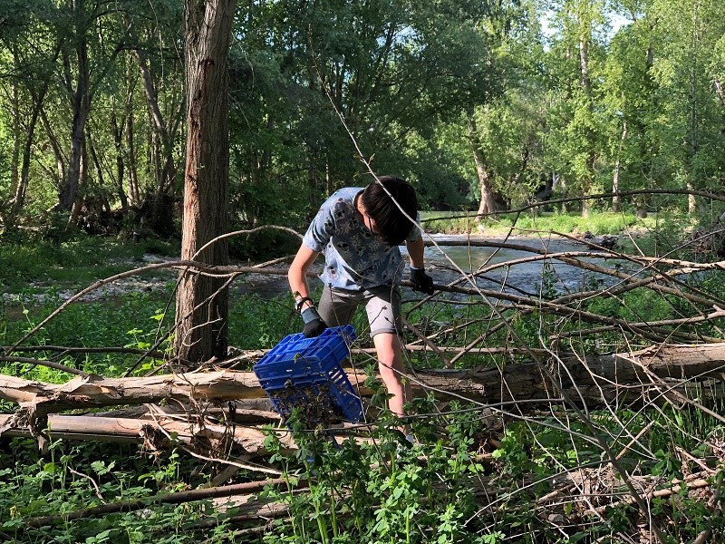 Trabajo colaborativo limpieza del río Iregua