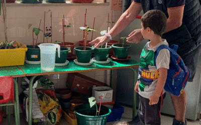 El Jardín de Infantil – Salesianos Atocha